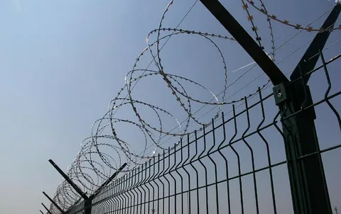 A prisoner from the Saratov region sentenced to 13 years for recruitment into ISIS