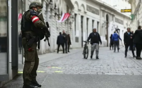 Austrian intelligence services busted an Islamist cell