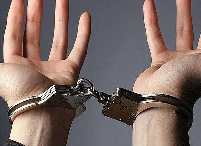 18-YEAR-OLD GIRL SENTENCED FOR 5 YEARS IN JAIL FOR ATTEMPTING TO JOIN TERRORISTS IN SYRIA